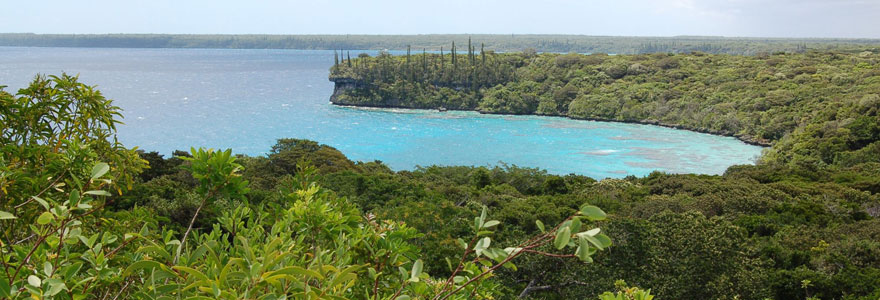 Biodiversité Terrestre