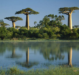 Tourisme à Madagascar